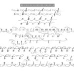 Starlive Script Font Poster 10
