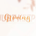 Stay Stopeer Duo Font Poster 5