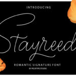 Stayreed Font Poster 1