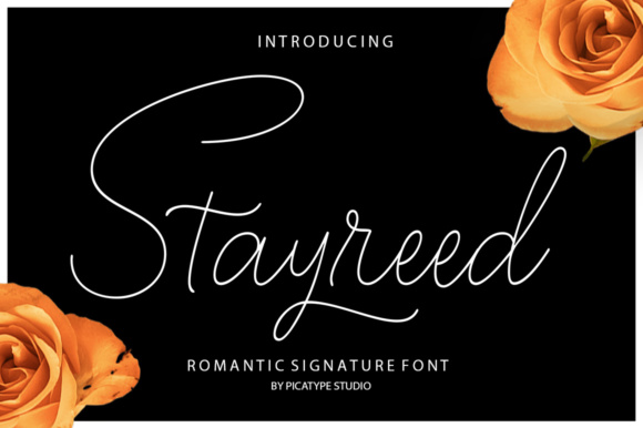 Stayreed Font Poster 1