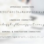 Stefani Family Font Poster 2