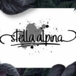 Stella Alpina Font Poster 2
