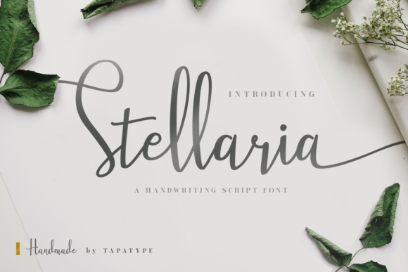 Stellaria Font