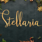 Stellaria Font Poster 9