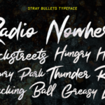 Stray Bullets Font Poster 8