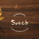 Suech Font Poster 1