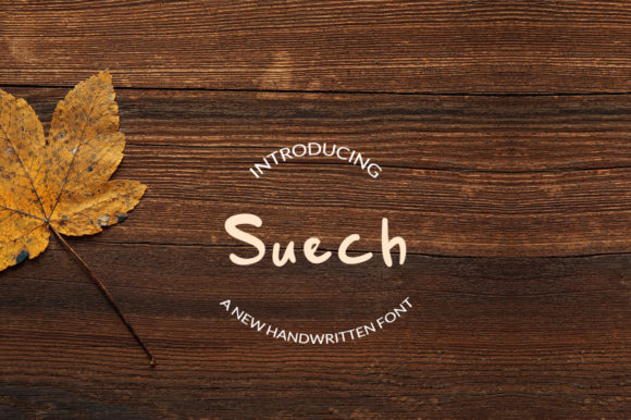 Suech Font Poster 1