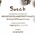 Suech Font Poster 2