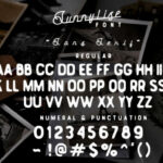 Sunnylise Font Poster 7