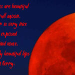 Super Moon Font Poster 2