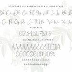 Sutra Dara Font Poster 8