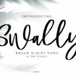 Swally Font Poster 1