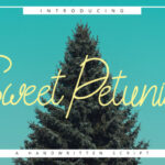 Sweet Petunia Font Poster 1