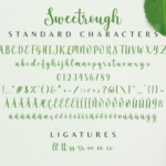Sweetrough Font Poster 9