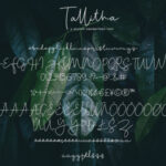 Tallitha Font Poster 9