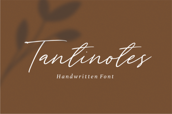 Tantinotes Font Poster 1
