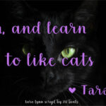 Tara Lynn Font Poster 11