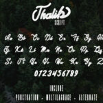 Thalib Font Poster 5