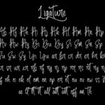 The Amstrong Font Poster 5