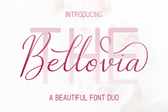 The Bellovia Duo Font