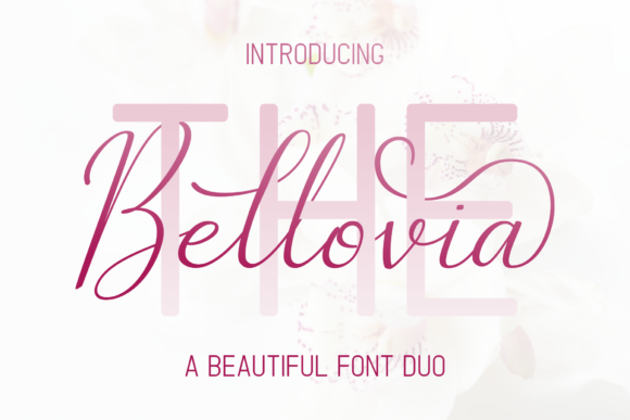 The Bellovia Duo Font Poster 1