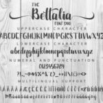 The Bettalia Duo Font Poster 2