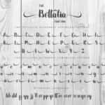 The Bettalia Duo Font Poster 3