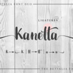 The Bettalia Duo Font Poster 4