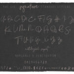 The Girl Duo Font Poster 6