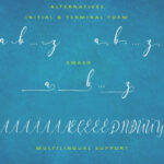 The Himalaya Font Poster 11