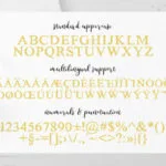 The Knot Font Poster 9