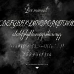The Live Moment Font Poster 8