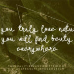 The Qualities Font Poster 5