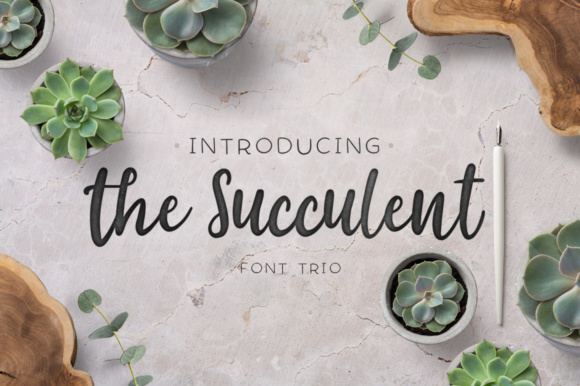 The Succulent Trio Font Poster 1