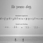 The Summer Days Script Font Poster 11