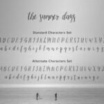 The Summer Days Script Font Poster 9