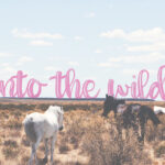 The Willow Script Font Poster 2