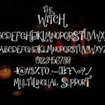 The Witch Font Poster 6