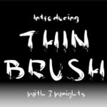 Thin Brush Font Poster 1