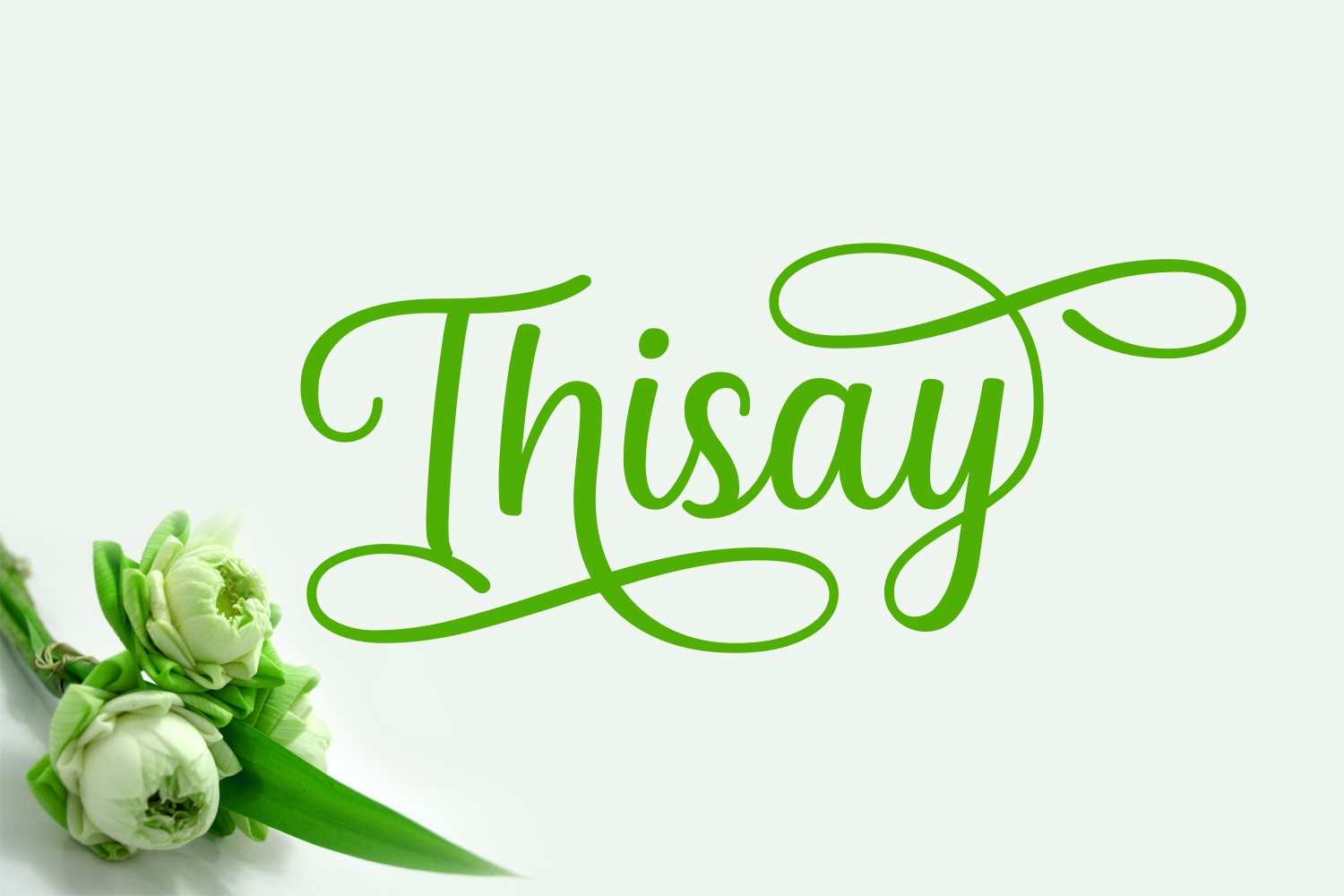 Thisay Font Poster 1
