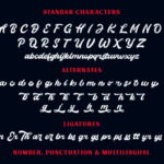 Thunder Script Font Poster 9