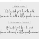 Tosca Beauty Font Poster 6