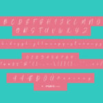 Tosca Pen Script Font Poster 6