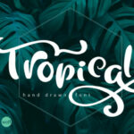 Tropical Font Poster 1