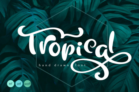 Tropical Font