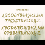 Twopath Font Poster 2