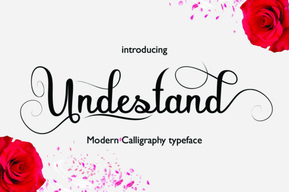 Undestand Font Poster 1