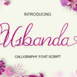Usbanda Script Font Poster 1
