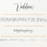 Vadelicia Script Font Poster 6