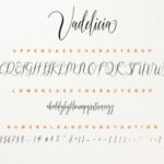 Vadelicia Script Font Poster 6
